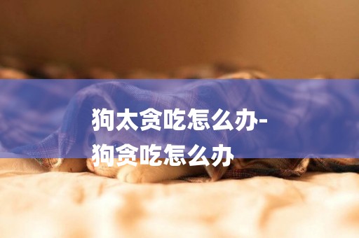 狗太貪吃怎么辦-
狗貪吃怎么辦