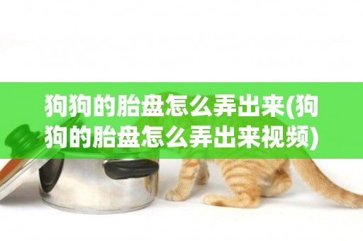 狗狗的胎盤怎么弄出來(狗狗的胎盤怎么弄出來視頻)