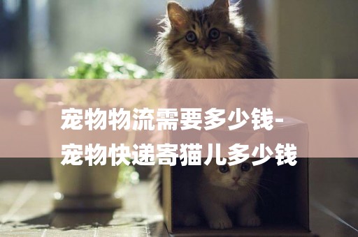 寵物物流需要多少錢-
寵物快遞寄貓兒多少錢