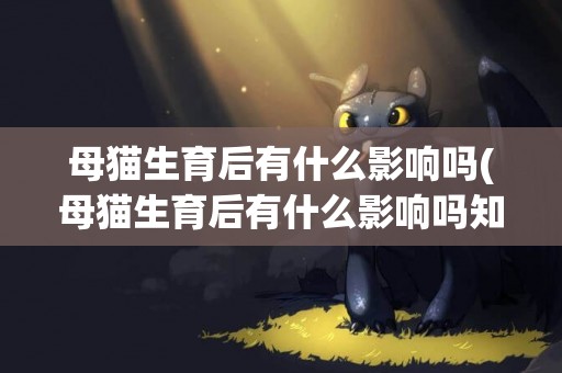 母貓生育后有什么影響嗎(母貓生育后有什么影響嗎知乎)