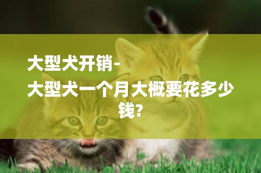 大型犬開銷-
大型犬一個月大概要花多少錢?