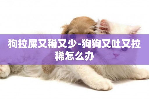 狗拉屎又稀又少-狗狗又吐又拉稀怎么辦
