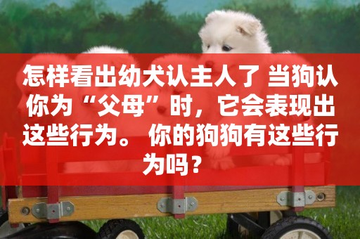 怎樣看出幼犬認主人了 當狗認你為“父母”時，它會表現出這些行為。 你的狗狗有這些行為嗎？ 