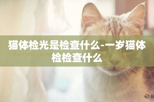 貓體檢光是檢查什么-一歲貓體檢檢查什么