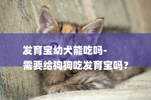 發育寶幼犬能吃嗎-
需要給狗狗吃發育寶嗎？