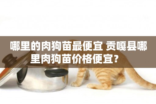 哪里的肉狗苗最便宜 貢嘎縣哪里肉狗苗價格便宜？ 