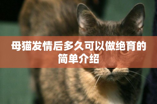 母貓發情后多久可以做絕育的簡單介紹