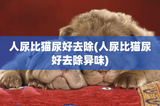 人尿比貓尿好去除(人尿比貓尿好去除異味)