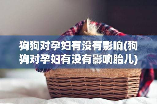 狗狗對孕婦有沒有影響(狗狗對孕婦有沒有影響胎兒)