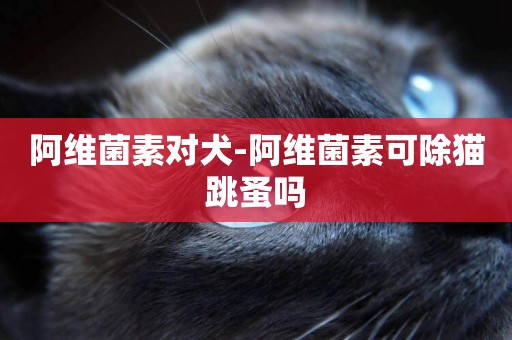 阿維菌素對犬-阿維菌素可除貓跳蚤嗎