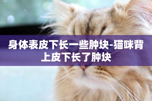 身體表皮下長一些腫塊-貓咪背上皮下長了腫塊