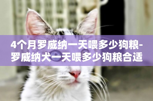 4個月羅威納一天喂多少狗糧-羅威納犬一天喂多少狗糧合適
