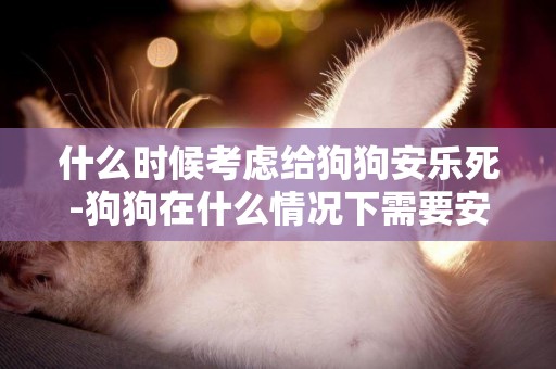 什么時候考慮給狗狗安樂死-狗狗在什么情況下需要安樂死