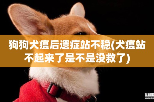 狗狗犬瘟后遺癥站不穩(犬瘟站不起來了是不是沒救了)