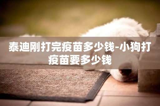 泰迪剛打完疫苗多少錢-小狗打疫苗要多少錢