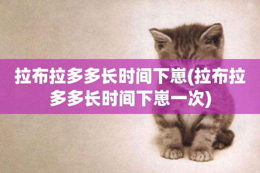 拉布拉多多長時間下崽(拉布拉多多長時間下崽一次)