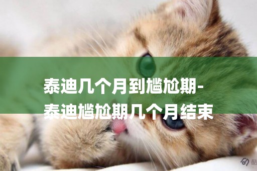 泰迪幾個月到尷尬期-
泰迪尷尬期幾個月結束