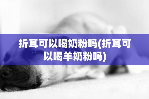 折耳可以喝奶粉嗎(折耳可以喝羊奶粉嗎)