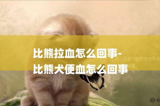 比熊拉血怎么回事-
比熊犬便血怎么回事