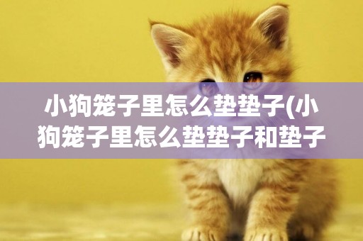 小狗籠子里怎么墊墊子(小狗籠子里怎么墊墊子和墊子)