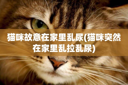 貓咪故意在家里亂尿(貓咪突然在家里亂拉亂尿)