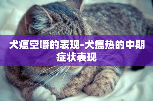 犬瘟空嚼的表現-犬瘟熱的中期癥狀表現
