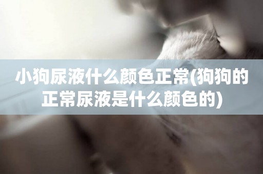 小狗尿液什么顏色正常(狗狗的正常尿液是什么顏色的)