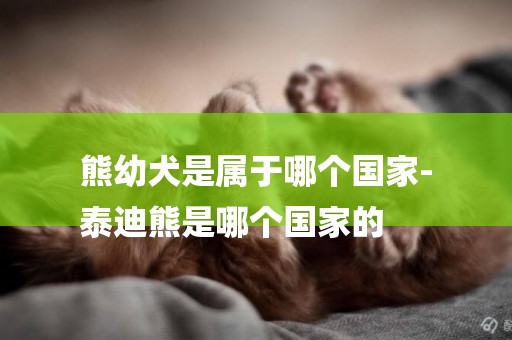 熊幼犬是屬于哪個國家-
泰迪熊是哪個國家的