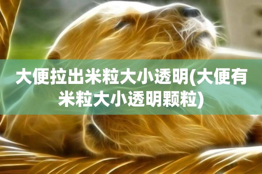 大便拉出米粒大小透明(大便有米粒大小透明顆粒)