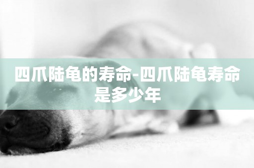 四爪陸龜的壽命-四爪陸龜壽命是多少年