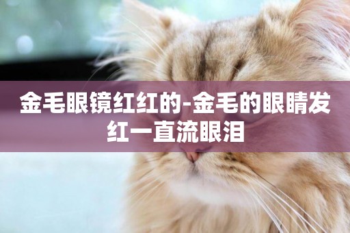 金毛眼鏡紅紅的-金毛的眼睛發紅一直流眼淚
