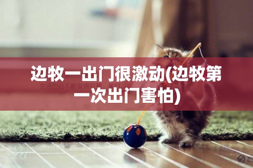 邊牧一出門很激動(邊牧第一次出門害怕)