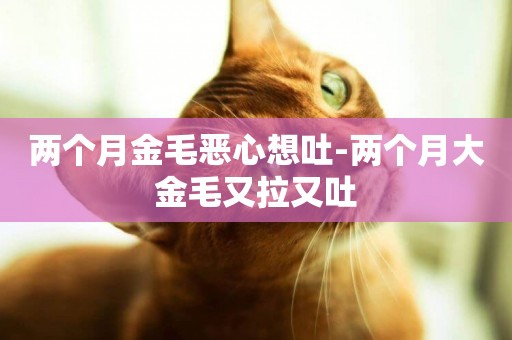 兩個月金毛惡心想吐-兩個月大金毛又拉又吐
