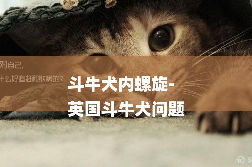 斗牛犬內螺旋-
英國斗牛犬問題