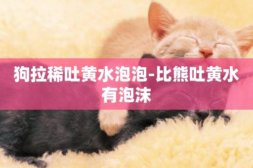 狗拉稀吐黃水泡泡-比熊吐黃水有泡沫