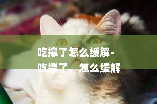 吃撐了怎么緩解-
吃撐了，怎么緩解