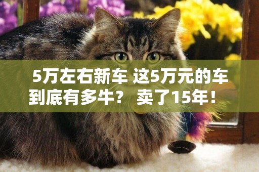 5萬左右新車 這5萬元的車到底有多牛？ 賣了15年！ 銷量突破300萬輛！ 