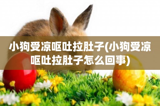 小狗受涼嘔吐拉肚子(小狗受涼嘔吐拉肚子怎么回事)