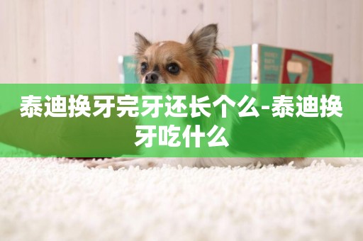 泰迪換牙完牙還長個么-泰迪換牙吃什么