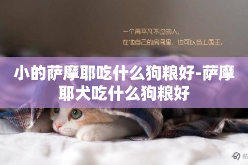 小的薩摩耶吃什么狗糧好-薩摩耶犬吃什么狗糧好