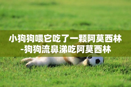 小狗狗喂它吃了一顆阿莫西林-狗狗流鼻涕吃阿莫西林