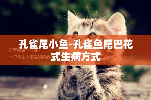 孔雀尾小魚-孔雀魚尾巴花式生病方式