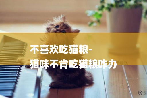 不喜歡吃貓糧-
貓咪不肯吃貓糧咋辦