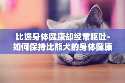 比熊身體健康卻經常嘔吐-如何保持比熊犬的身體健康