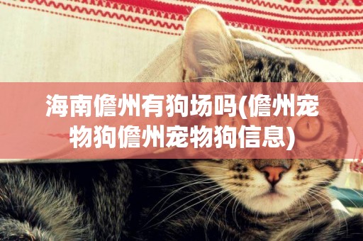 海南儋州有狗場嗎(儋州寵物狗儋州寵物狗信息)