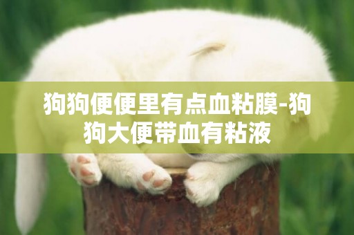 狗狗便便里有點血粘膜-狗狗大便帶血有粘液
