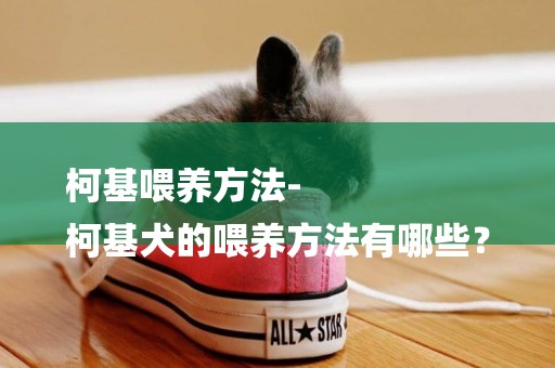 柯基喂養方法-
柯基犬的喂養方法有哪些？