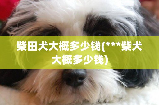 柴田犬大概多少錢(***柴犬大概多少錢)
