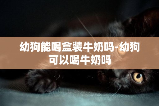 幼狗能喝盒裝牛奶嗎-幼狗可以喝牛奶嗎