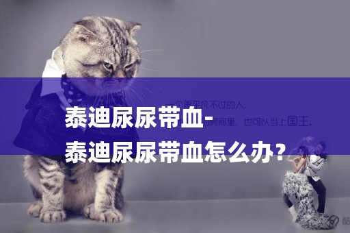 泰迪尿尿帶血-
泰迪尿尿帶血怎么辦？